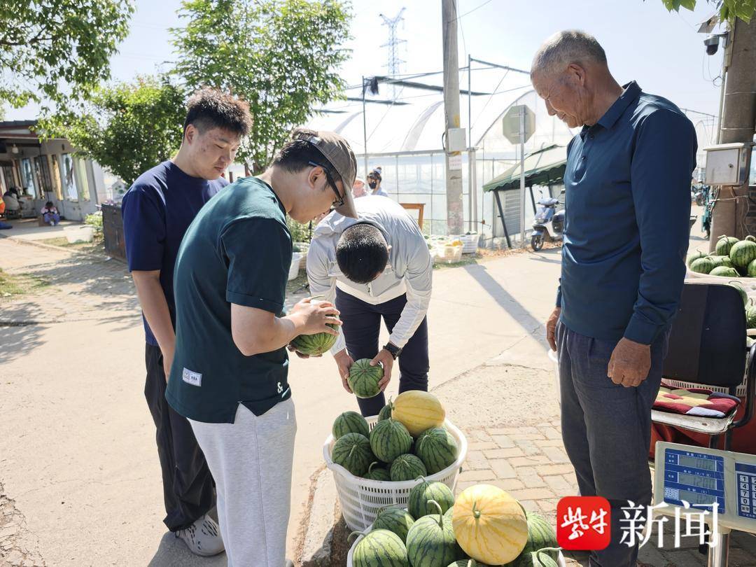4块5一斤就能吃个好瓜 吃瓜群众快来南京横溪集合啦
