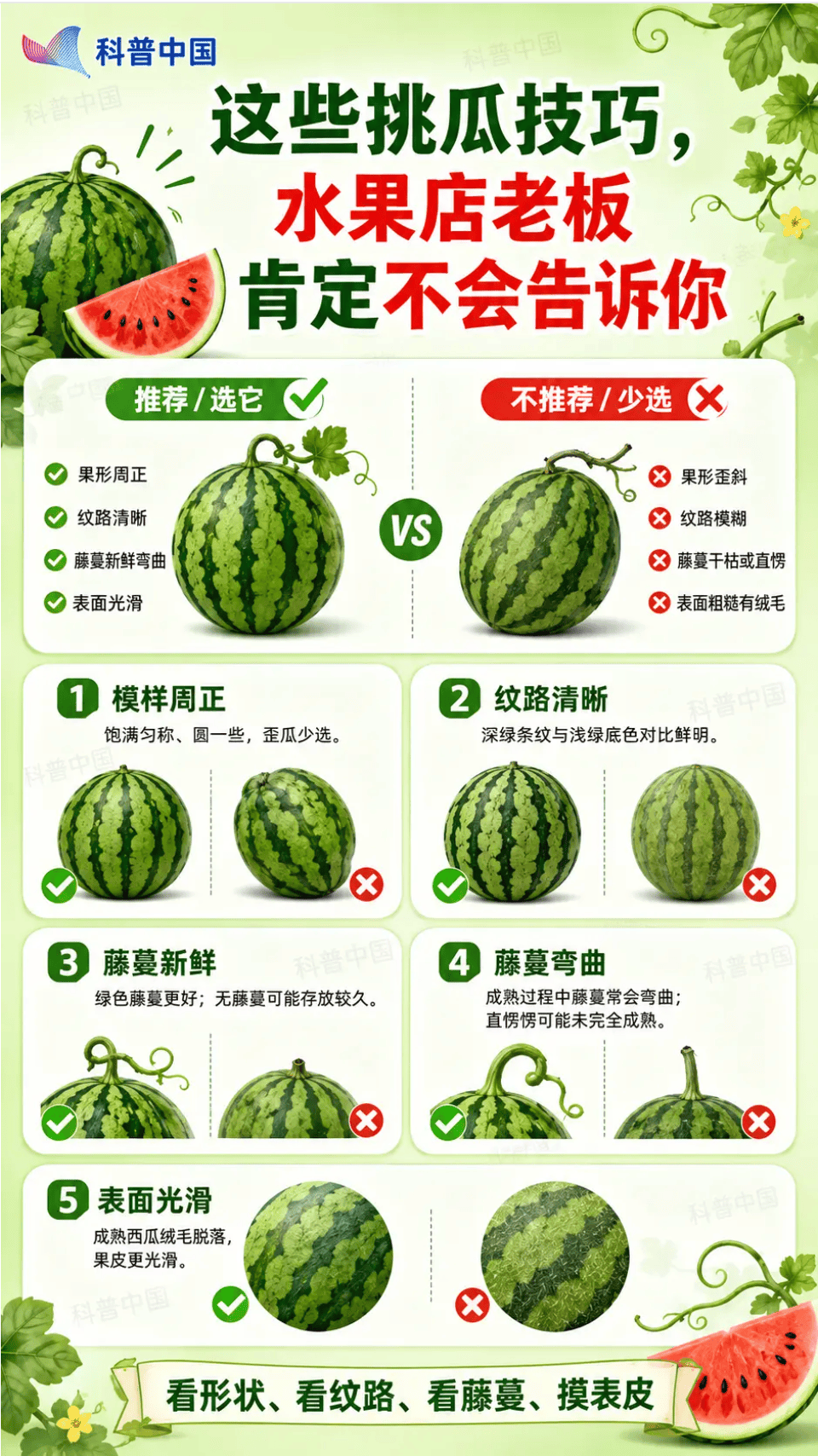 全网最全吃瓜指南，来了！
