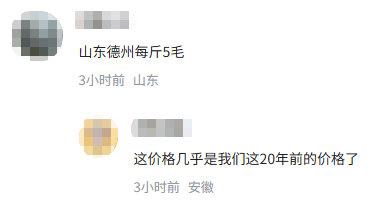 来，吃瓜！