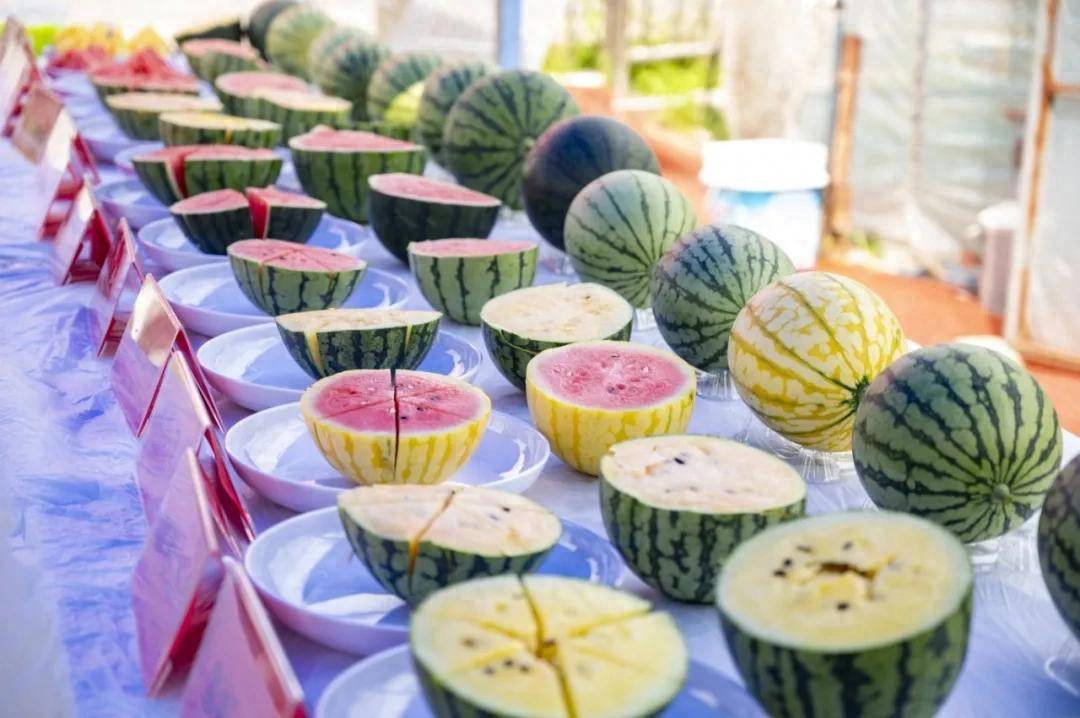 来延庆，吃瓜！