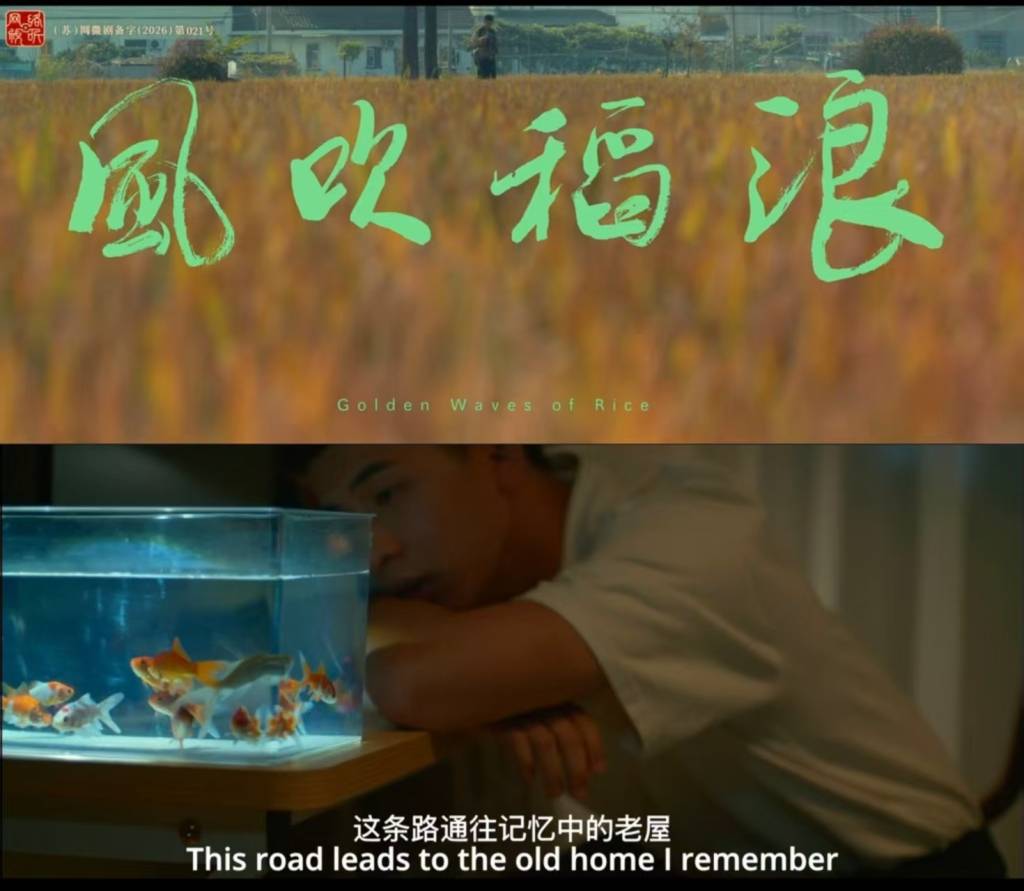 从课堂作业到荧屏作品:从《风吹稻浪》看音乐微短剧